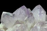 Stunning, Wide Amethyst Crystal Cluster - Large Points #78152-3